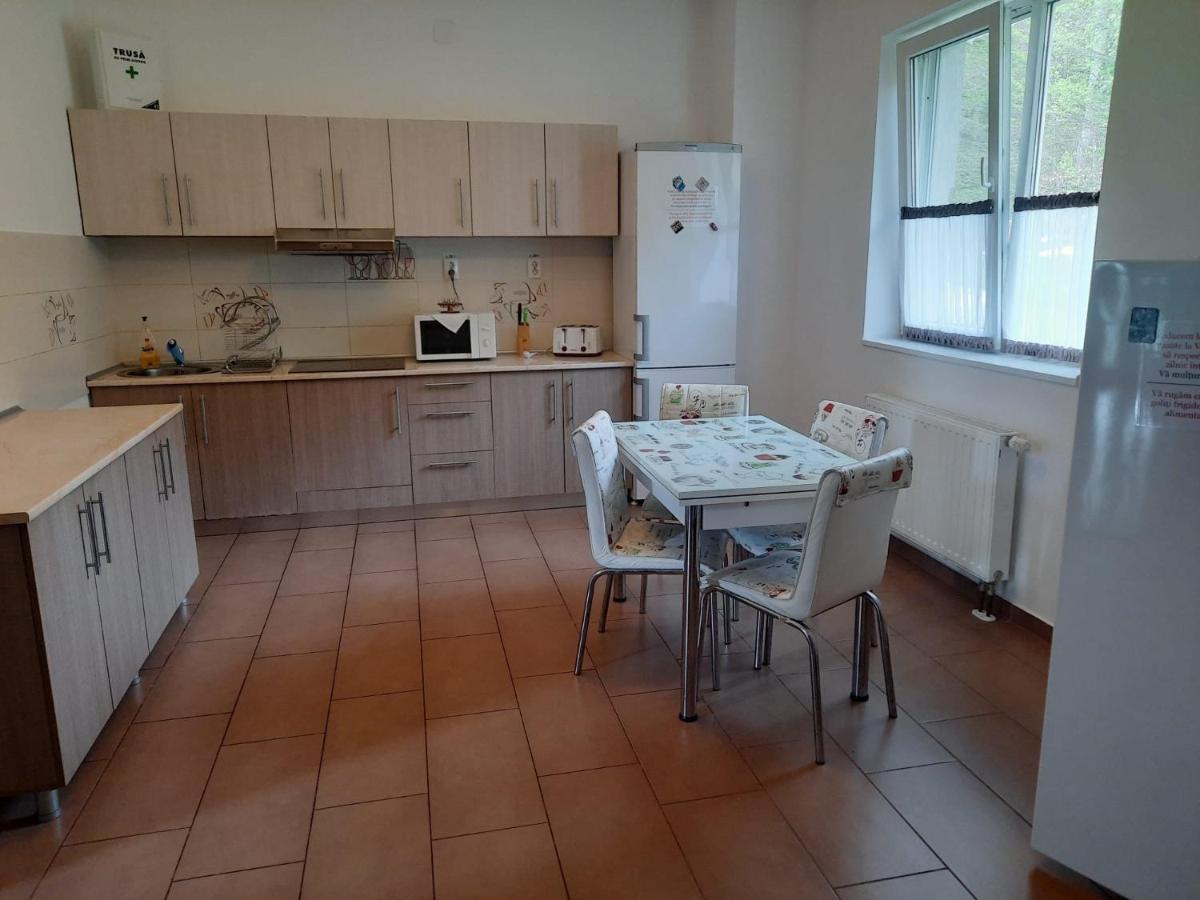Villa Prestige Szováta Kültér fotó